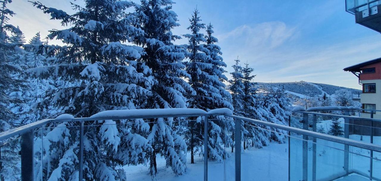 Apartman Nerudovka D 104, Finska Sauna, Garazove Stani Loučná pod Klínovcem 외부 사진