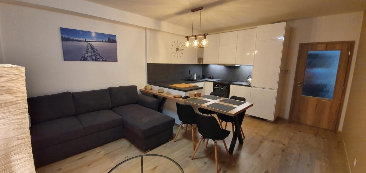 Apartman Nerudovka D 104, Finska Sauna, Garazove Stani Loučná pod Klínovcem 외부 사진