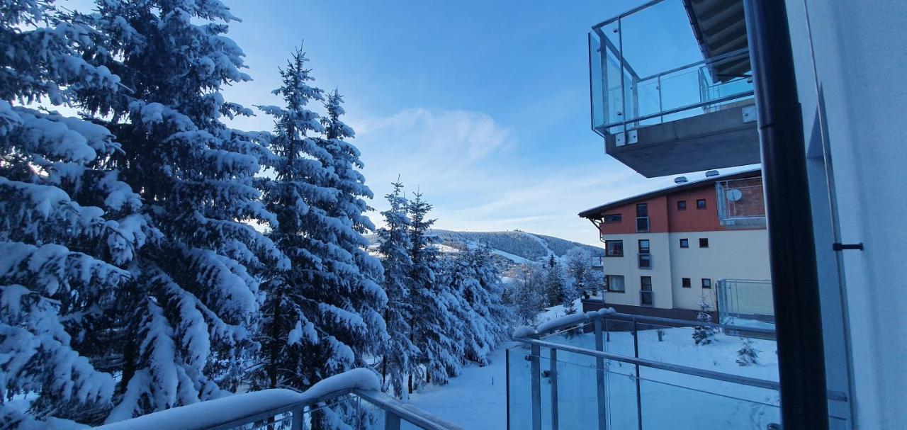 Apartman Nerudovka D 104, Finska Sauna, Garazove Stani Loučná pod Klínovcem 외부 사진