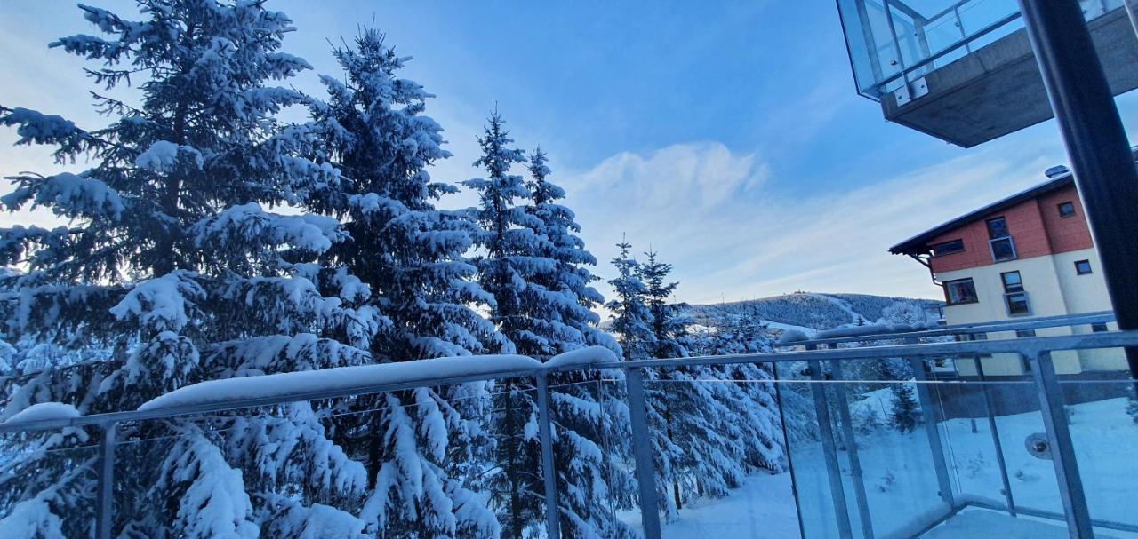 Apartman Nerudovka D 104, Finska Sauna, Garazove Stani Loučná pod Klínovcem 외부 사진
