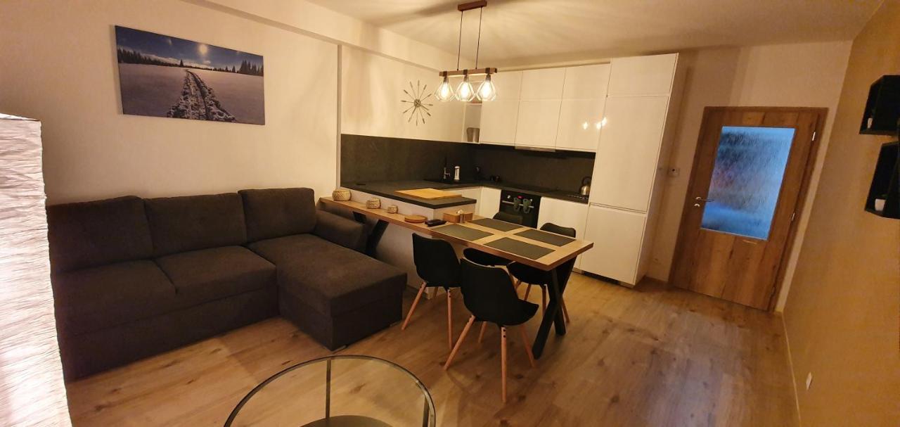 Apartman Nerudovka D 104, Finska Sauna, Garazove Stani Loučná pod Klínovcem 외부 사진